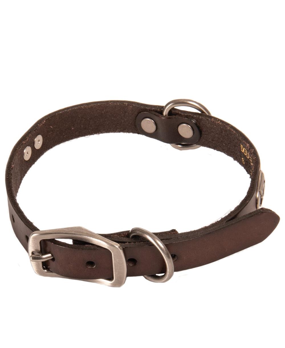 aggie dog collar