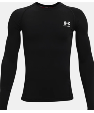 HeatGear Armour Long Sleeve