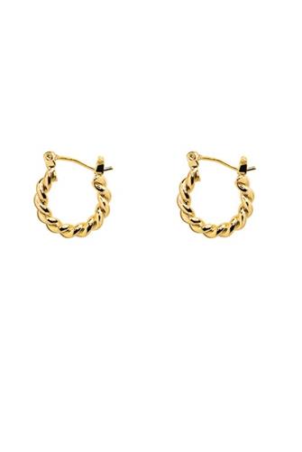 Twisted Hoops 