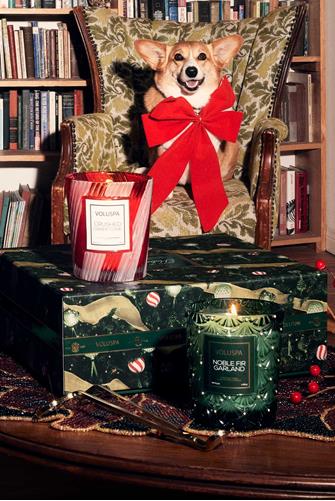 Voluspa Holiday Classic Duo NOBLE FIR/CRUSHED CANDY CANE