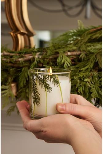 Frasier Fir Flocked 6.5 OZ Poured Candle FRASIER FIR