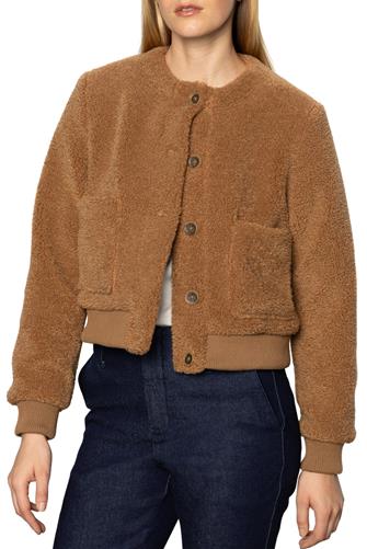 Teddy Cardi BRONZE