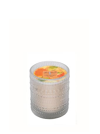 BOSTON INTERNATIONAL - Clementine Soy Candle 7 oz. ORANGE