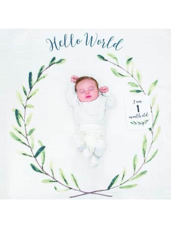 MARY MEYER - Lulujo Baby’s First Year – “Hello World” NO COLOR