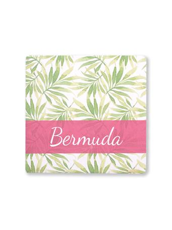 Bermuda Palm Tree Leaves Coaster No Color