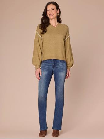 DEMOCRACY - Blouson Sleeve V-Neck Blanket Stitch Embroidered Plus Size Sweater GINGER/CINDER IVORY