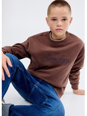 MANGO - Embroidered Cotton Sweatshirt BROWN