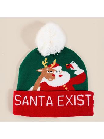 ANARCHY STREET - Santa Exists Christmas Beanie GREEN