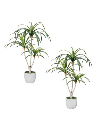 VINTAGE HOME - 28" Artificial Dracaena Tree 2-Pack GREEN
