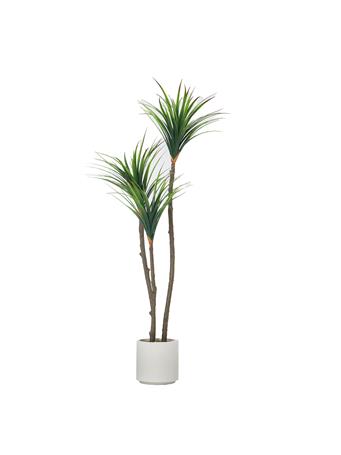 VINTAGE HOME - 59" Artificial Faux Dragon Tree in a Beige Modern Planter GREEN