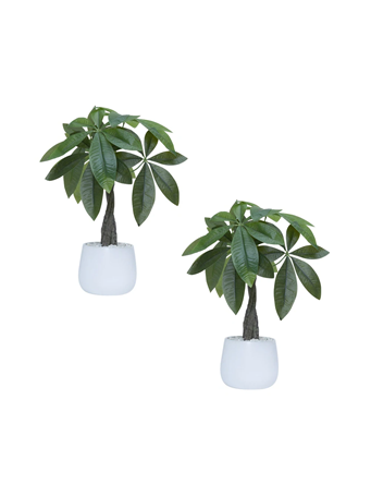 VINTAGE HOME - 18" Faux Money Trees 2-Pack GREEN