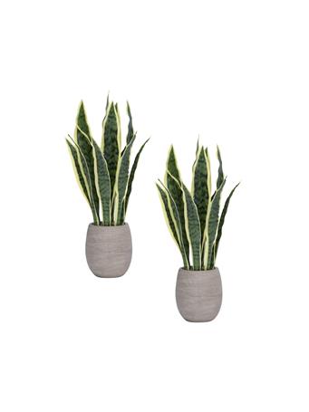 VINTAGE HOME - 18" Faux Snake Plants 2-Pack in White Ceramic Planters GREEN