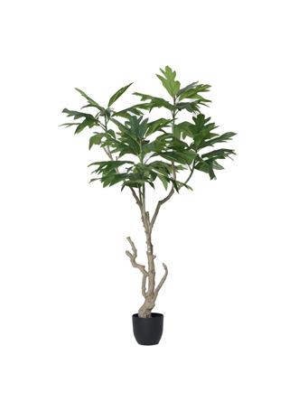 VINTAGE HOME - 70" Artificial Fiddle Tree in a Black Pot GREEN