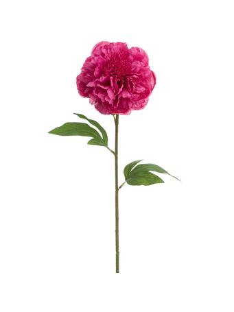 ALL STATE FLORAL - 31" Peony Faux Flower Stem CREAM