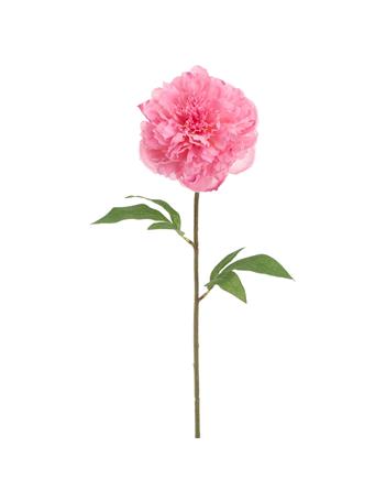 ALL STATE FLORAL - 31" Peony Faux Flower Stem CORAL