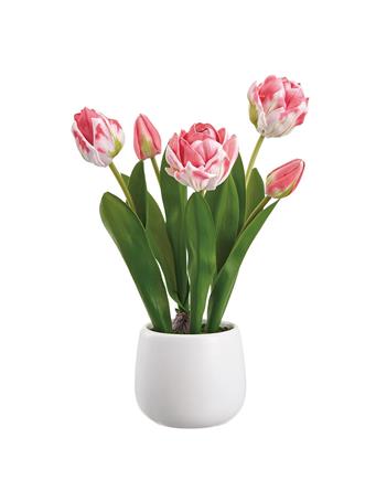 ALL STATE FLORAL - 13.5" Tulip Silk Flower Arrangement with Ceramic Vase CORAL
