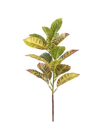 ALL STATE FLORAL - 24" Croton Leaf Silk Stem GREEN