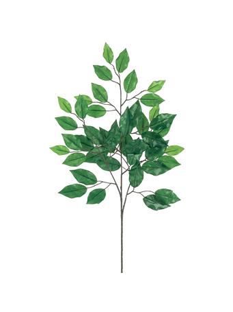ALL STATE FLORAL - 24" Silk Deluxe Ficus Stem GREEN