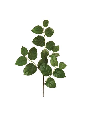 MELROSE INTERNATIONAL - Leaf Spray GREEN