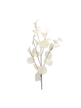 MELROSE INTERNATIONAL - Eucalyptus Spray WHITE