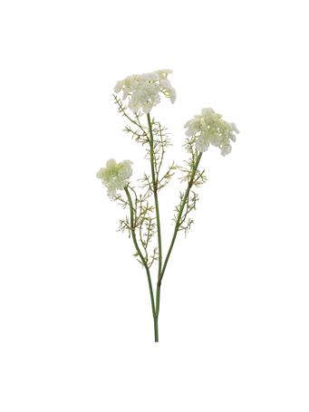 MELROSE INTERNATIONAL - Queen Anne's Lace Spray WHITE