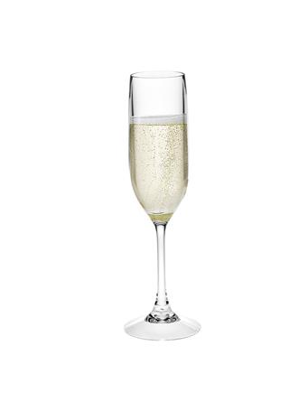LEADINGWARE - Unbreakable Tritan Champagne Flute CLEAR