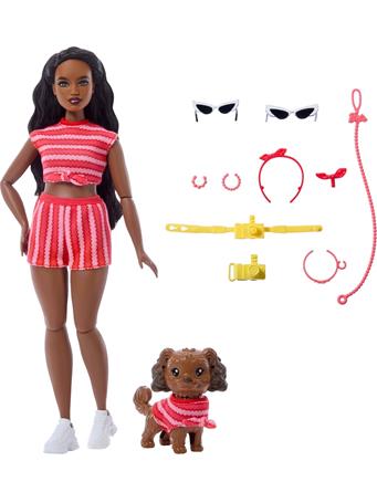 MATTEL - Barbie Twinning Looks Doll with Pet Dog - Stripes NO COLOR