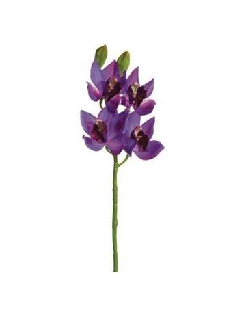 19" Cymbidium Orchid Spray  ORCHID