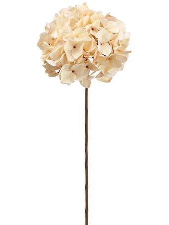 ALL STATE FLORAL - Hydrangea Spray AMBER