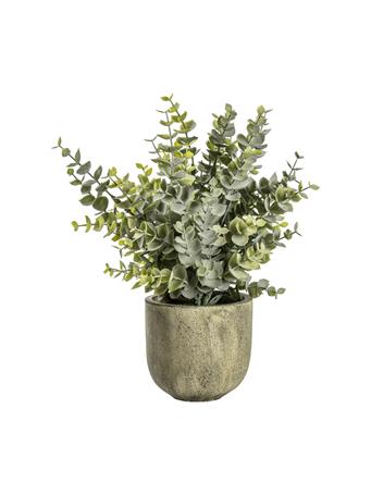 GALLERY DIRECT - Eucalyptus with Rustic Pot GREEN