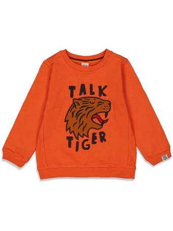 STURDY - Tiger Sweater RUST
