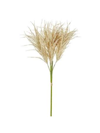 ALL STATE FLORAL - Pampas Grass BEIGE