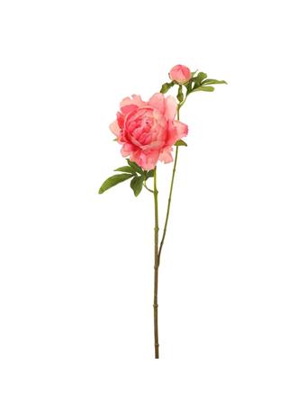 ALL STATE FLORAL - Peony Silk Flower Stem PINK