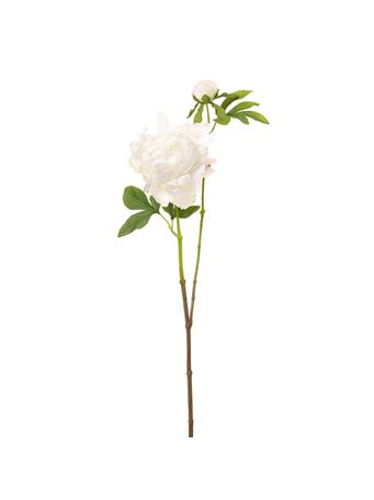 ALL STATE FLORAL - Peony Silk Flower Stem WHITE