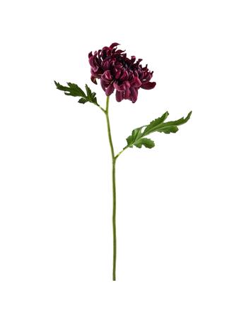 ALL STATE FLORAL - Silk Mum Flower Stem BURGUNDY