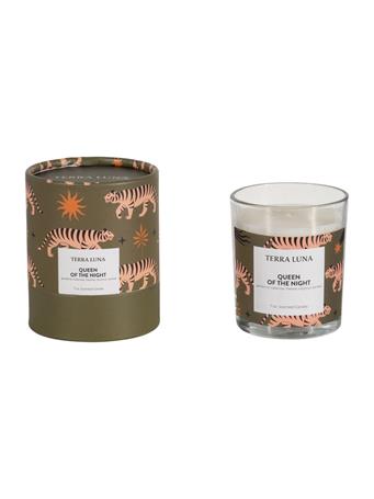 SAGEBROOK HOME - Tiger Boxed Candle GREEN
