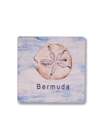 Bermuda Sand Dollar Coaster No Color