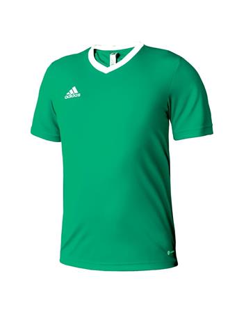 ADIDAS - T-shirt Entrada 22 Jersey GREEN