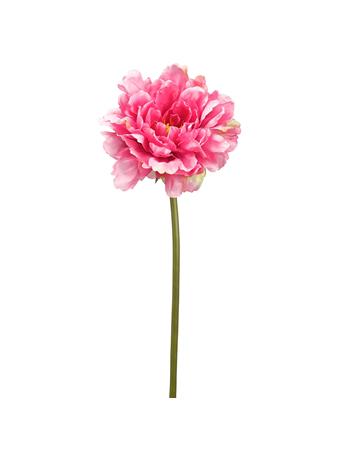 All State Floral - Peony Silk Flower Stem CREAM