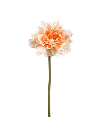 All State Floral - Peony Silk Flower Stem PEACH