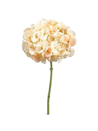 All State Floral - Hydrangea Silk Flower Stem PEACH