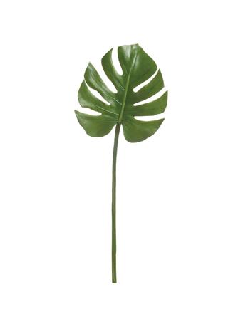 All State Floral - Silk Monstera Split Philodendron Leaf Stem GREEN