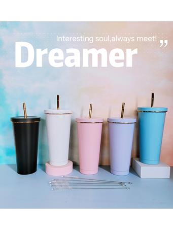 22OZ Stainless Steel Cup with Metal Straw ASSORTED