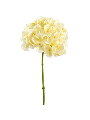 ALL STATE FLORAL - 19" Hydrangea Spray  YELLOW