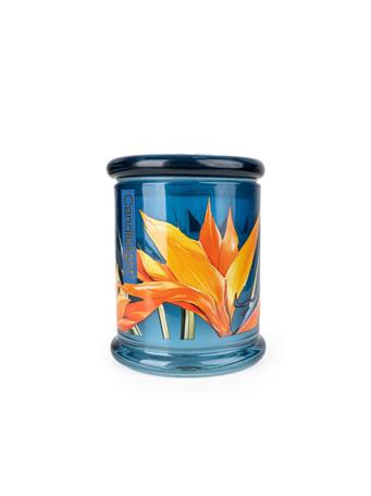 CANDLELIGHT - Large Glass Lidded Jar - Paradise Flower & Mango BLUE