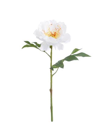 ALL STATE FLORAL - 19.5" Peony Silk Flower Stem CREAM/GREEN