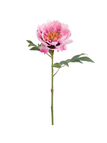 ALL STATE FLORAL - 19.5" Peony Silk Flower Stem PURPLE