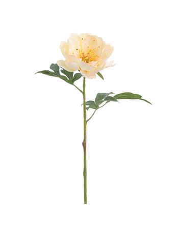 ALL STATE FLORAL - 19.5" Peony Silk Flower Stem YELLOW