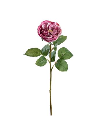 ALL STATE FLORAL - 19.5" Peony Silk Flower Stem FUSCHIA