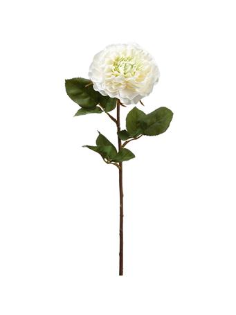 ALL STATE FLORAL - 21.25" Silk Rose Flower Stem CREAM